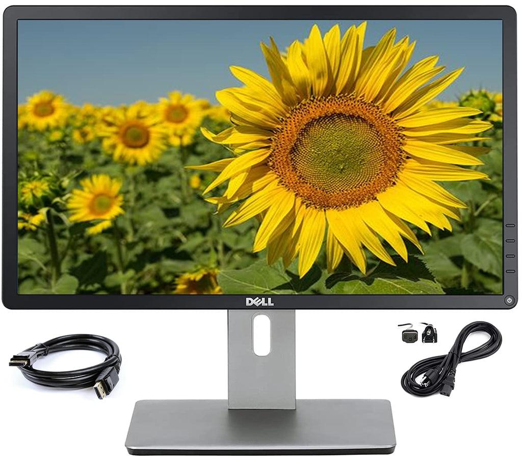 20 inch LED Monitor with VGA Display Port USB Hub P417