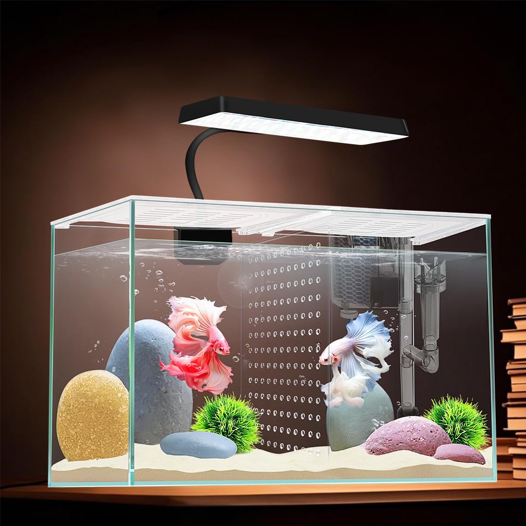 3 Gallon Nano Glass Aquarium with Separator Plate L243889