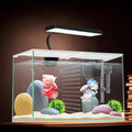 3 Gallon Nano Glass Aquarium with Separator Plate L243889