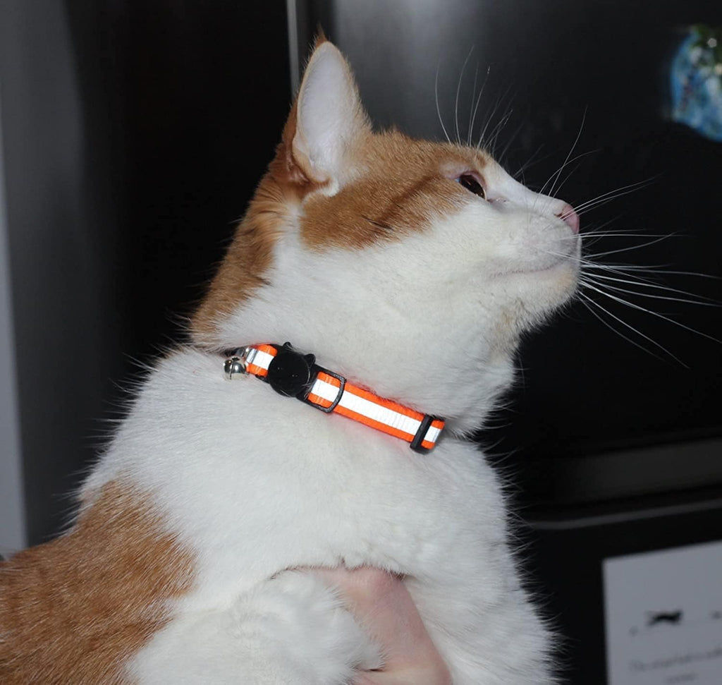 Reflective Nylon Cat Collar with Bell, Set of 6 S128322