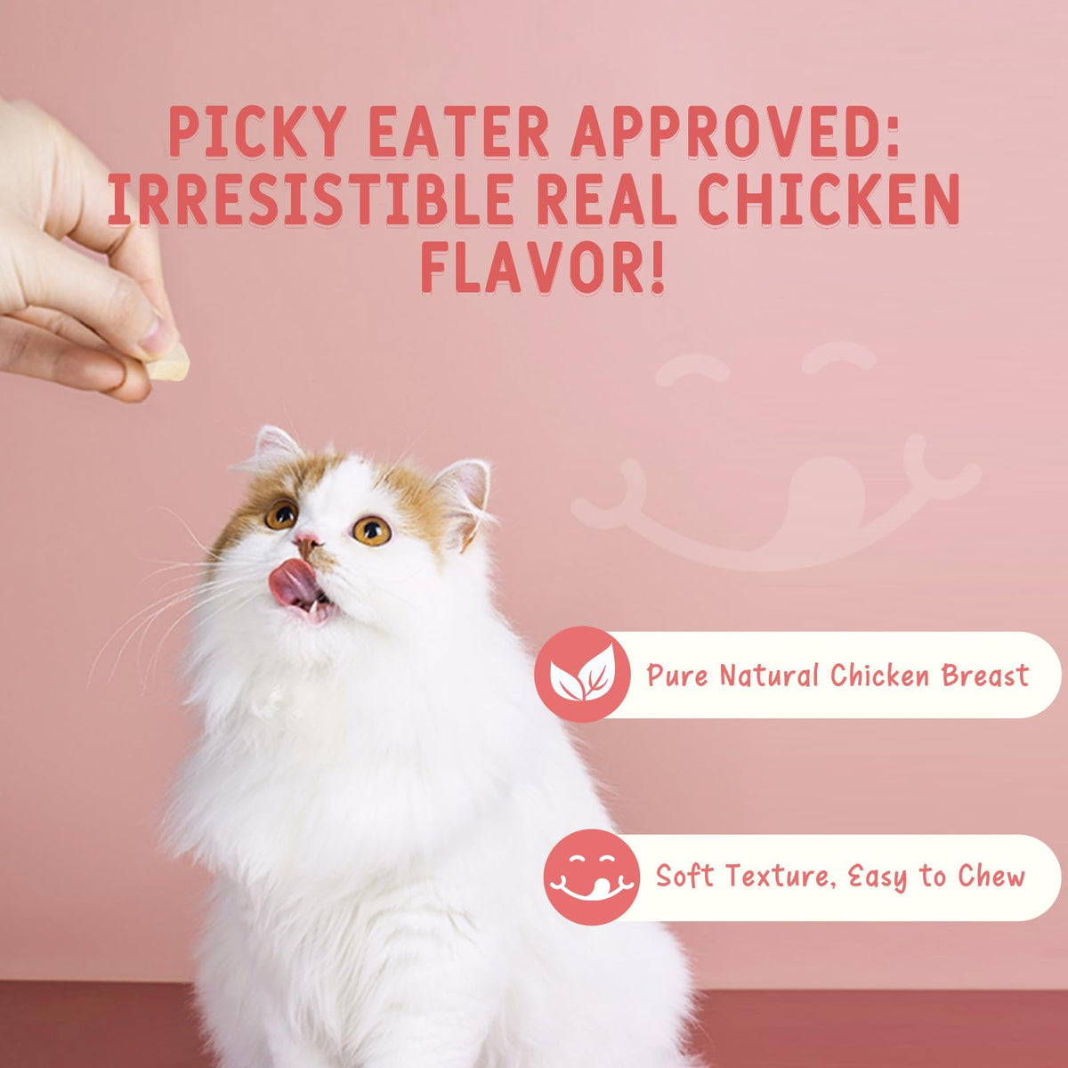 Freeze Dried Chicken Breast Cat & Dog Treats 2.82oz Single Ingredient Grain-Free H184