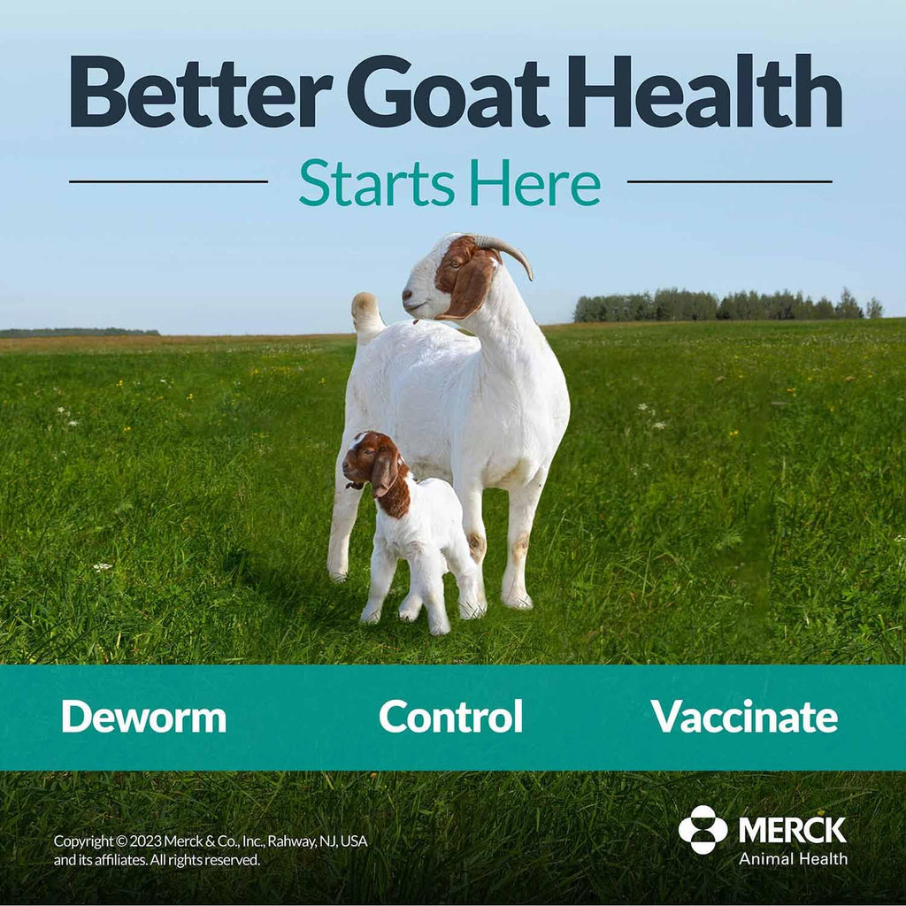 Fenbendazole Dewormer Liquid 125ml K823