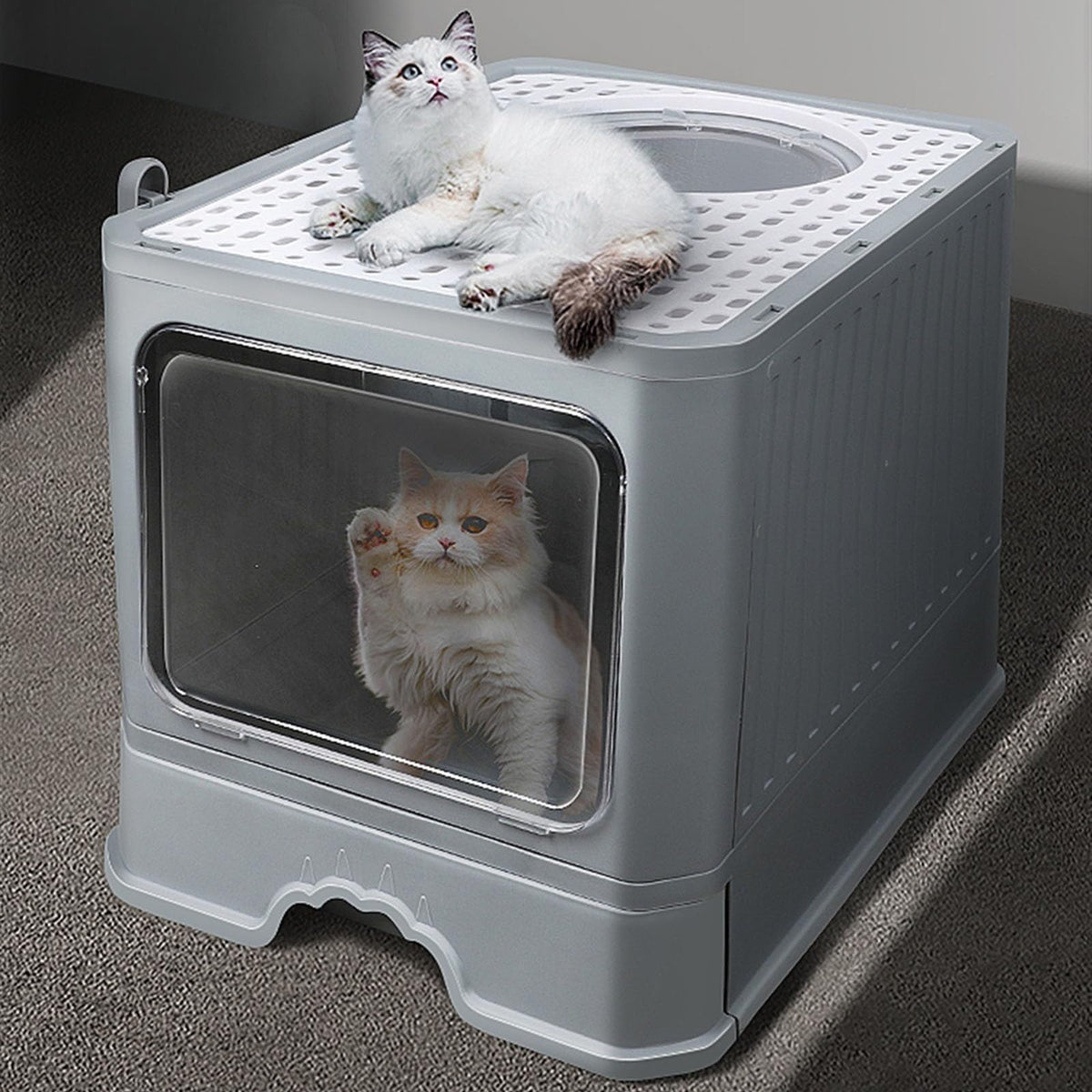 Enclosed Foldable Cat Litter Box with Lid R1149