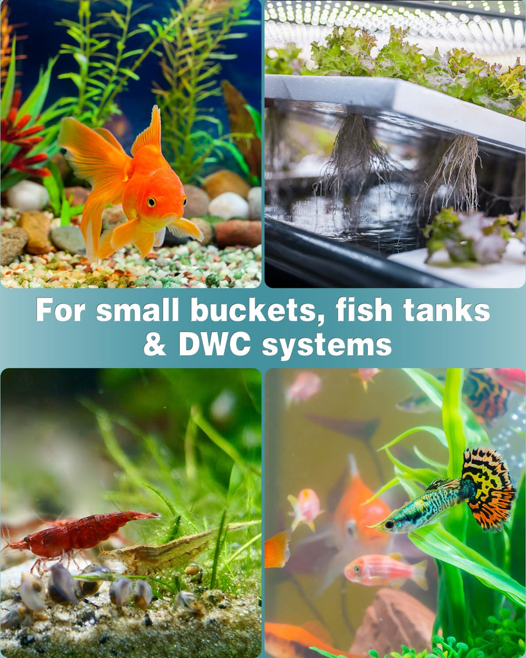 1 Inch Aquarium Air Stone 10 Pack S375