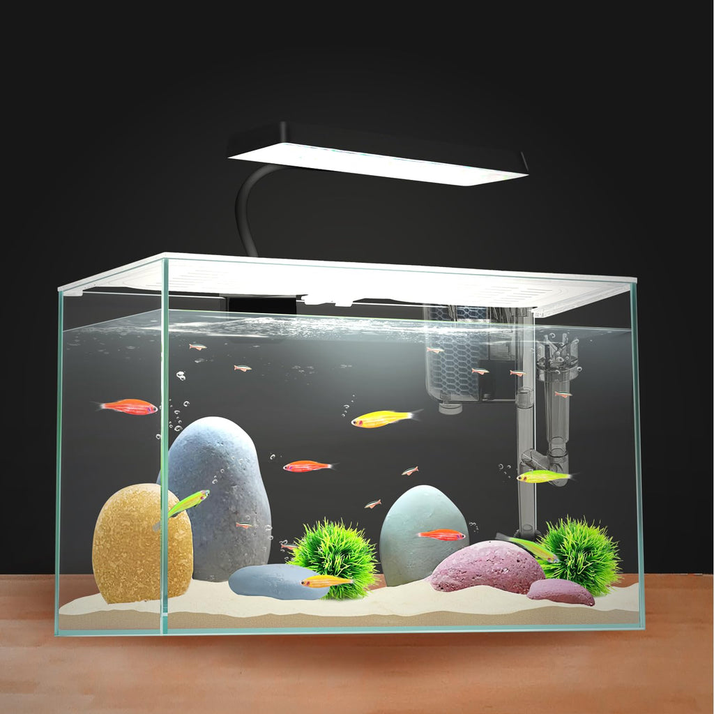 3 Gallon Nano Glass Aquarium with Separator Plate L243889