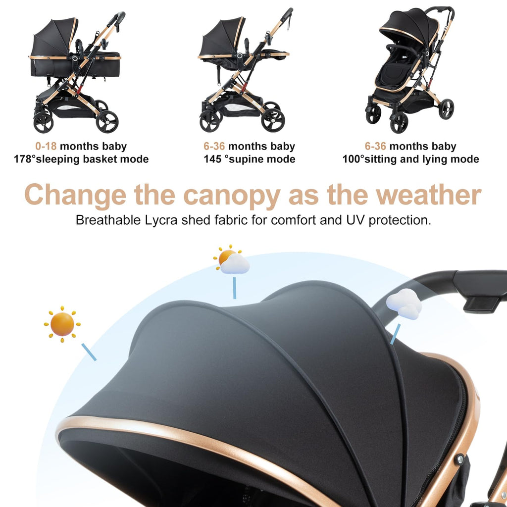 Foldable 2 in 1 Baby Stroller Y8588