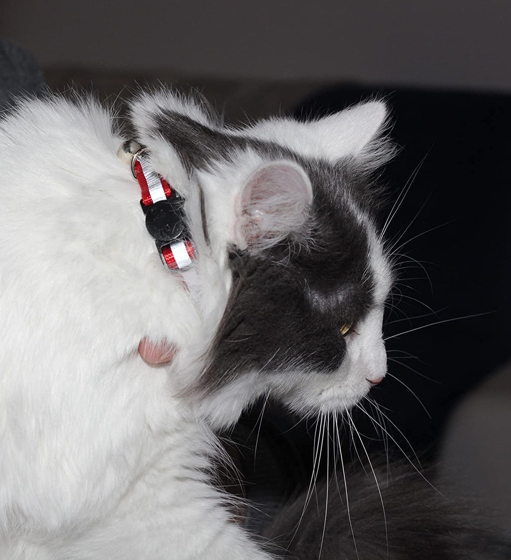 Reflective Nylon Cat Collar with Bell, Set of 6 S128322