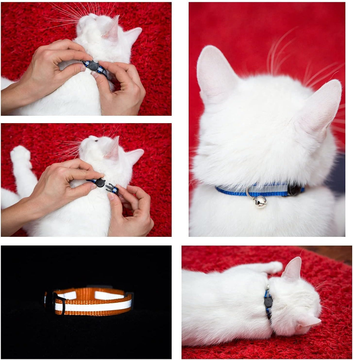 Reflective Nylon Cat Collar with Bell, Set of 6 S128322