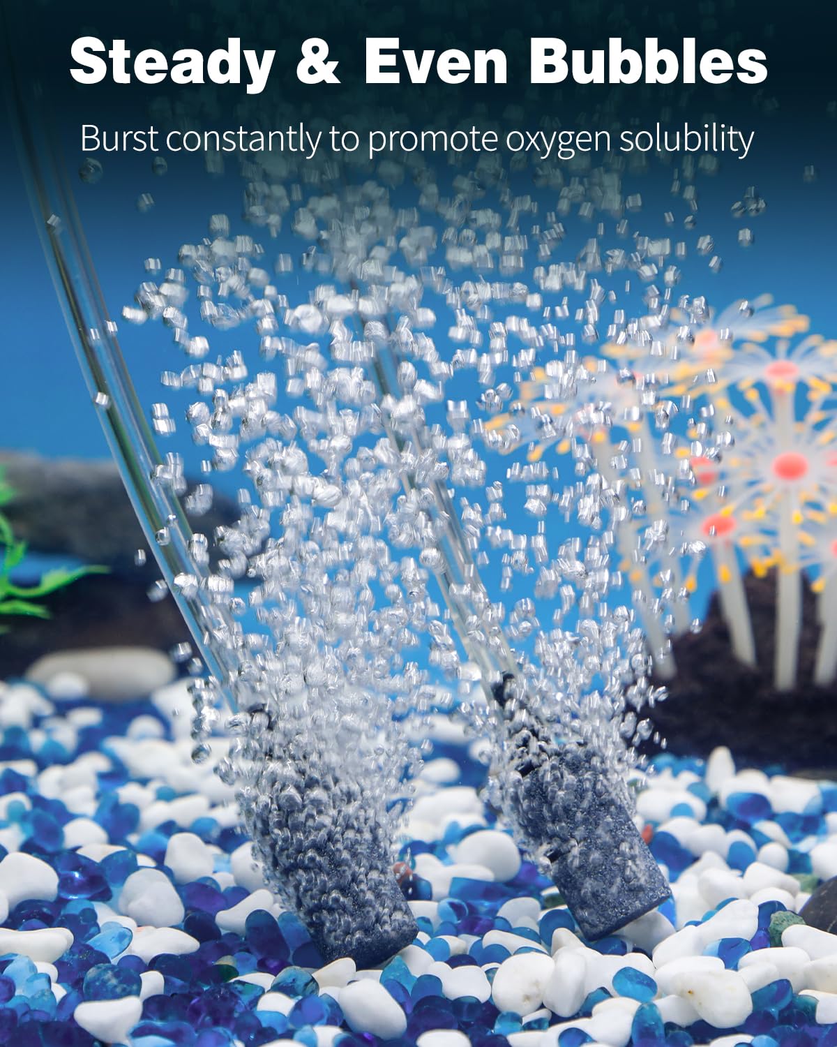 1 Inch Aquarium Air Stone 10 Pack S375