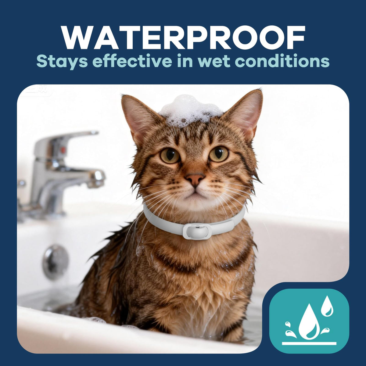 White 5 Pack Adjustable Water-Resistant Flea and Tick Cat Collar W3719