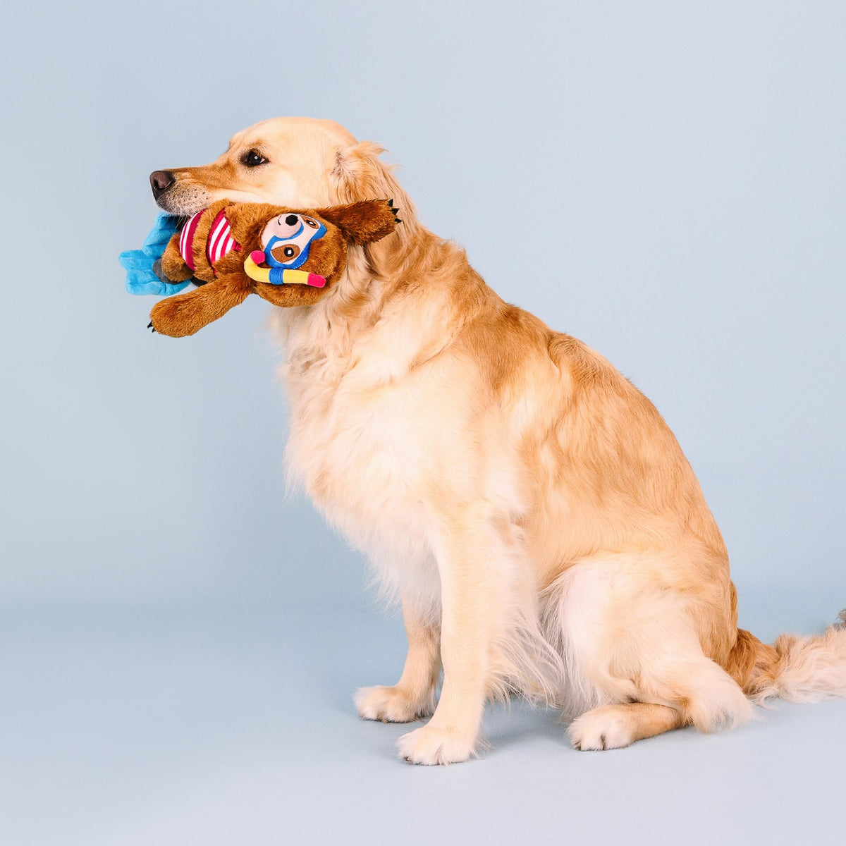 Plush Dog Toy P315