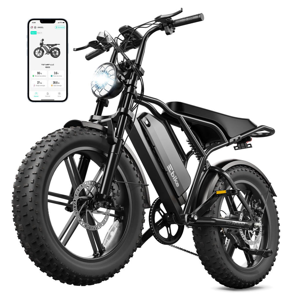 Electric Bike for Adults 48V 15Ah Fat Tire H8890