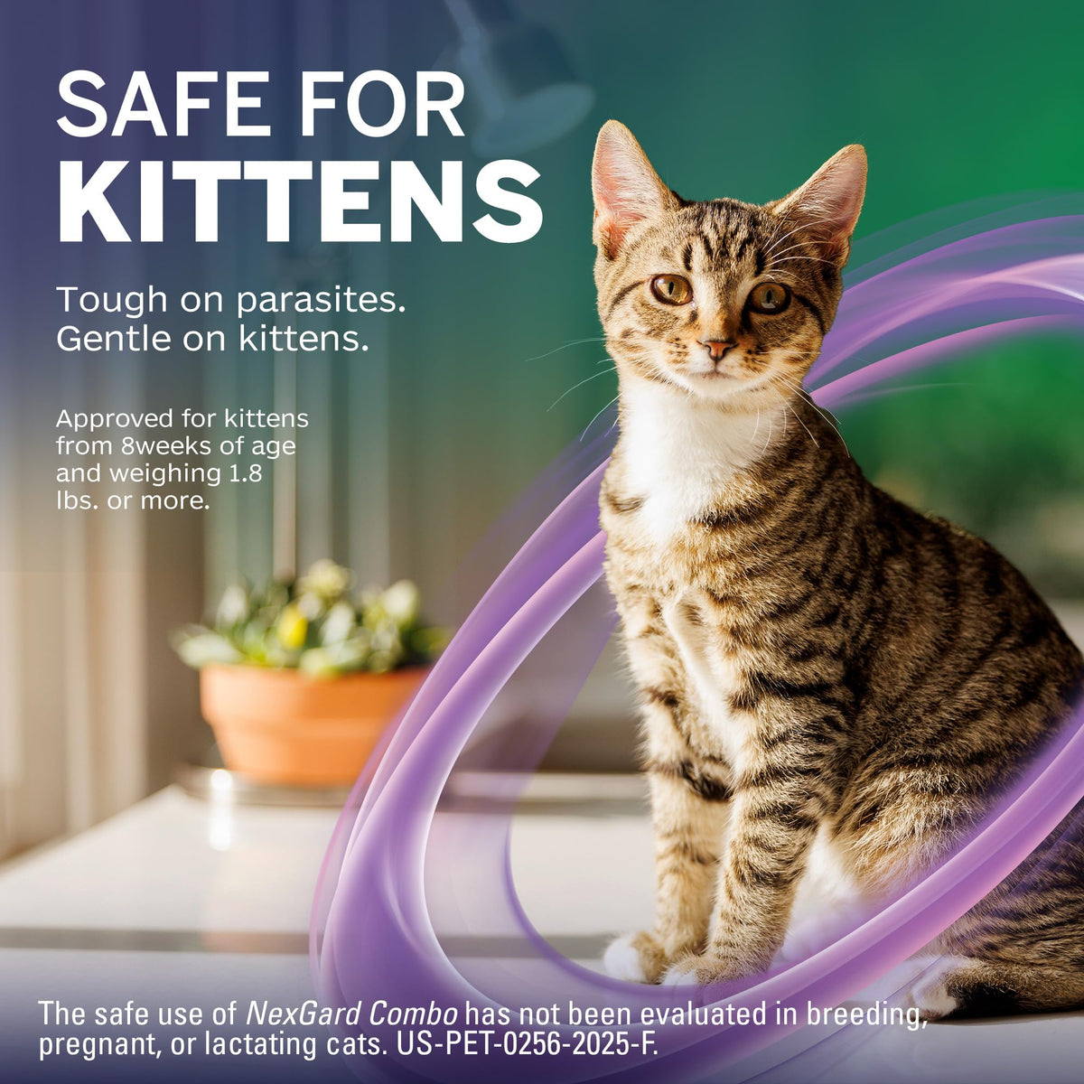 Flea and Tick Protection Plus Heartworm Disease Preventive for Cats 3 Doses B189815