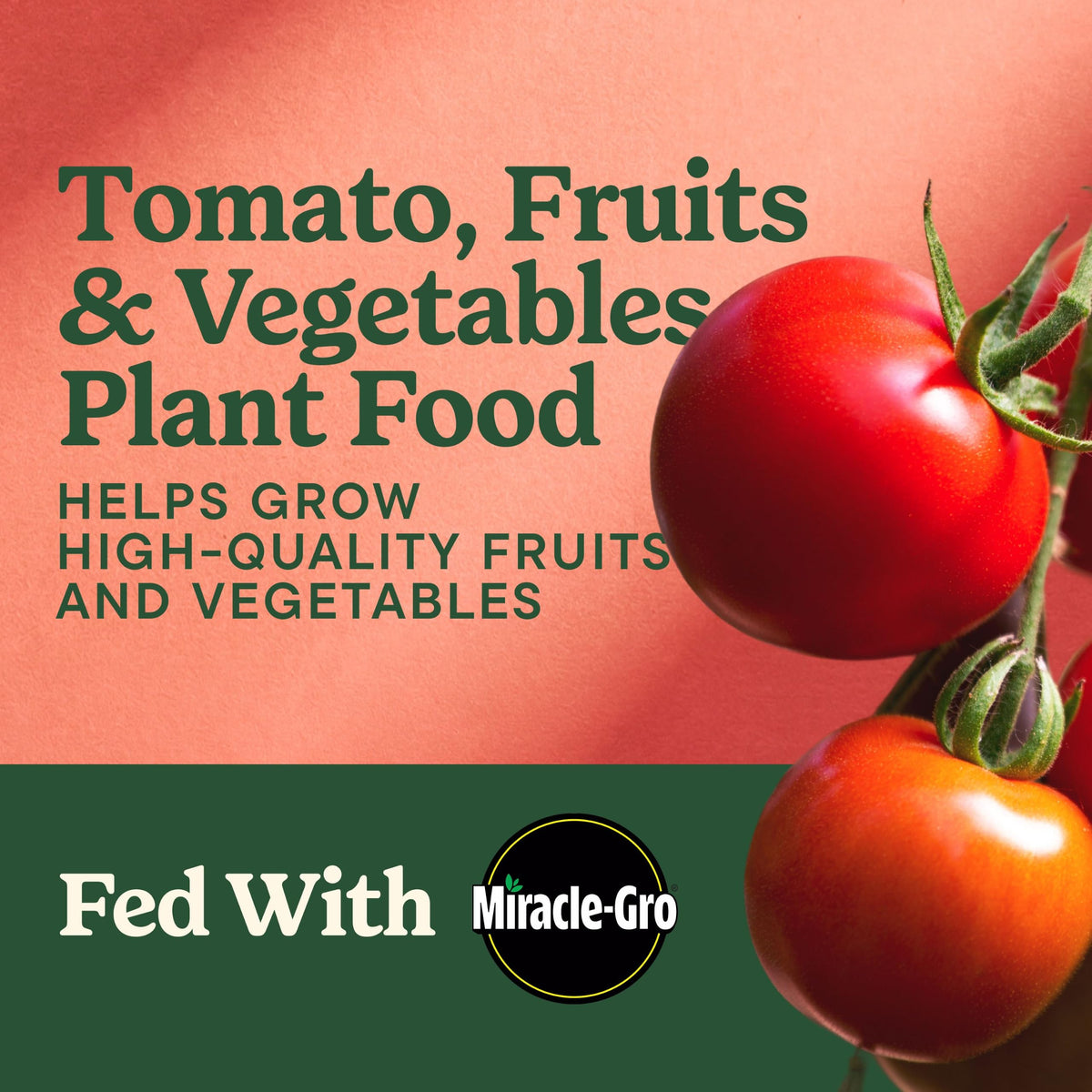 Tomato Fruits and Vegetables Plant Food 2-Pack R141973