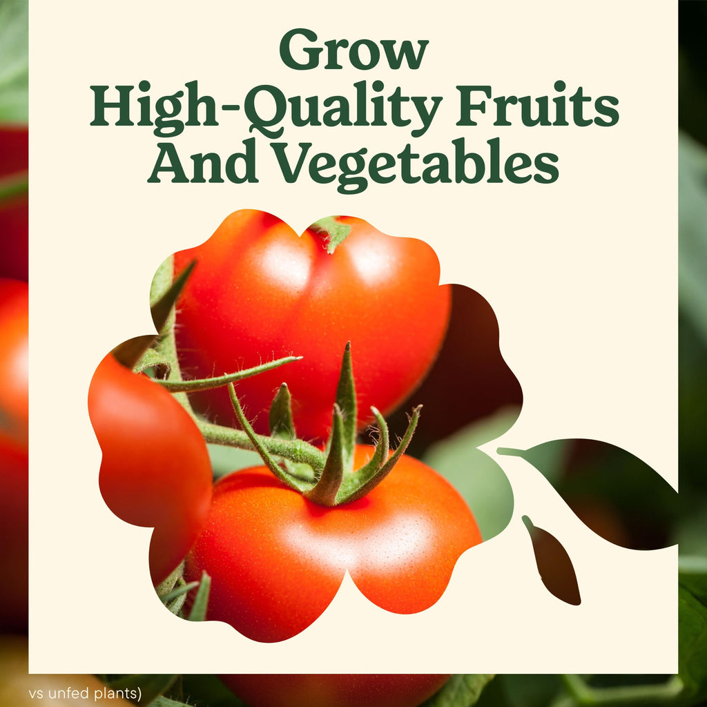 Tomato Fruits and Vegetables Plant Food 2-Pack R141973