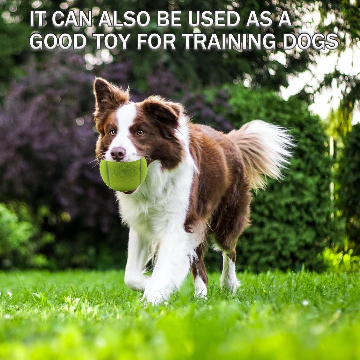 6 Pack Tennis Ball with Mesh Bag K751