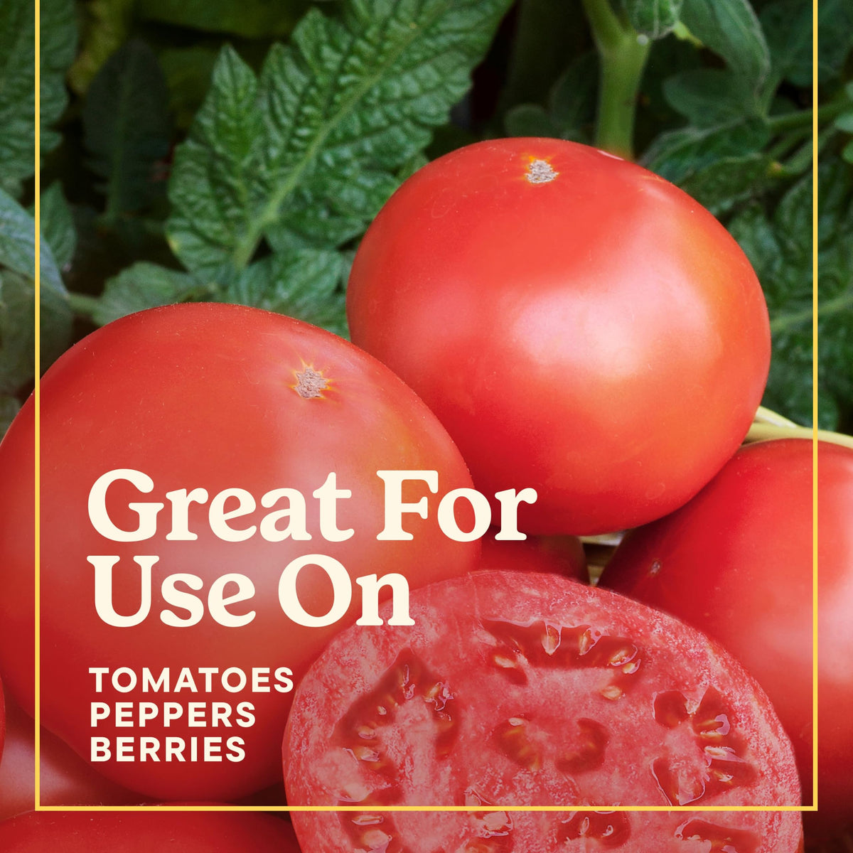 Tomato Fruits and Vegetables Plant Food 2-Pack R141973