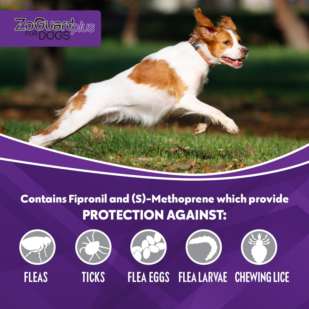 Flea and Tick Prevention for Medium Dogs 23-44lbs (3 Doses) E370295