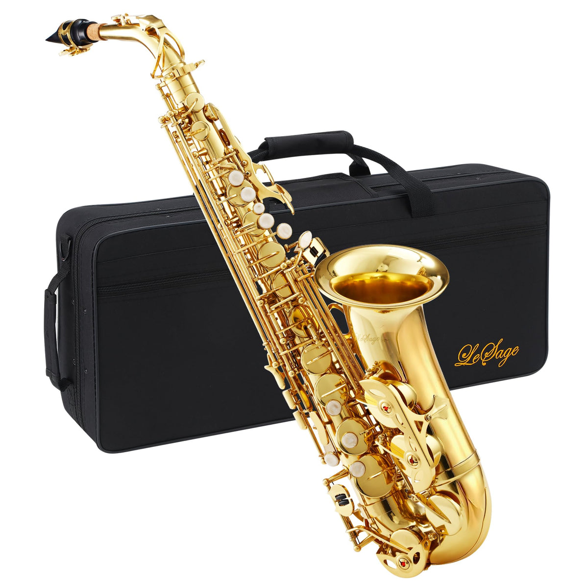 Alto Saxophone E Flat Starter Kit Gold C61651