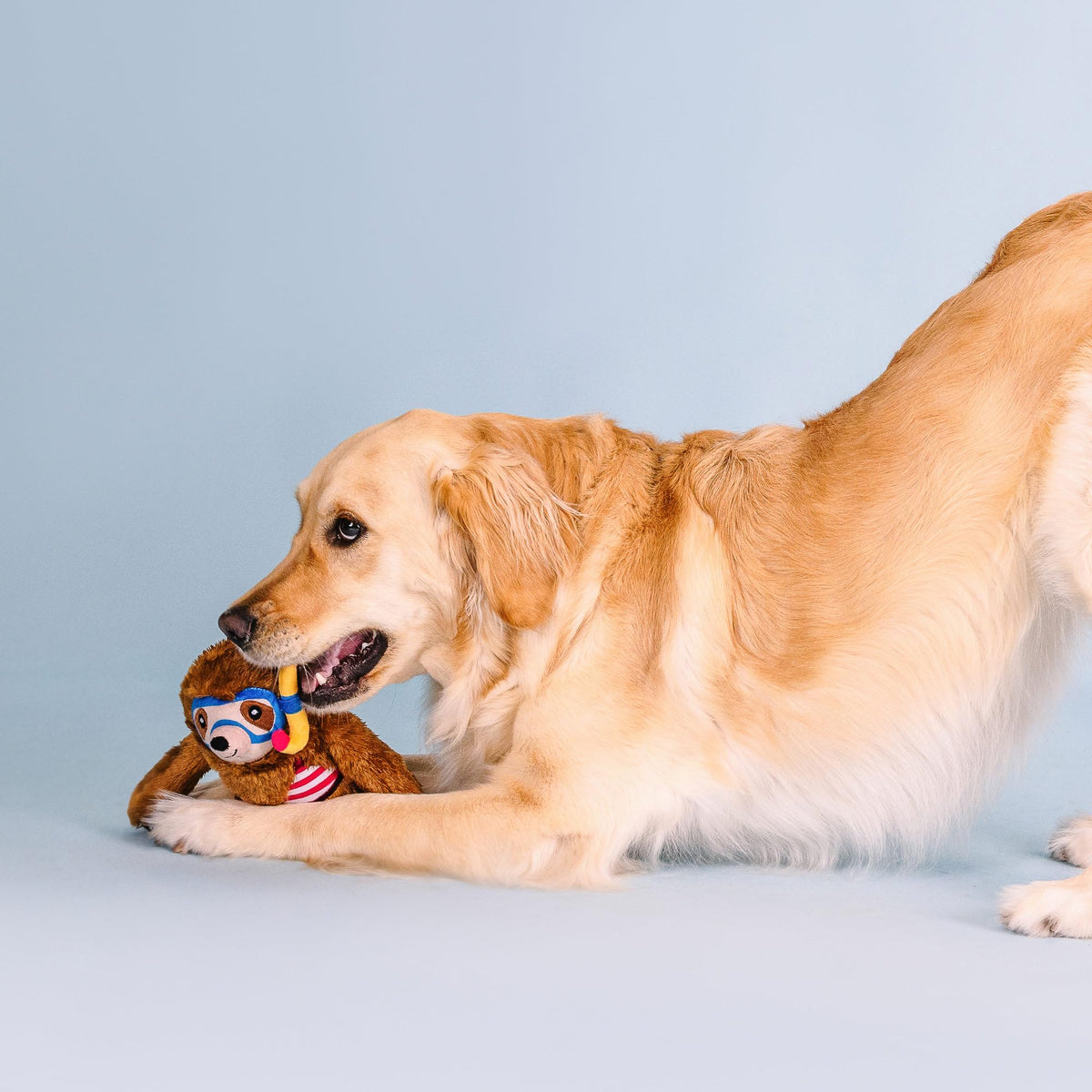 Plush Dog Toy P315
