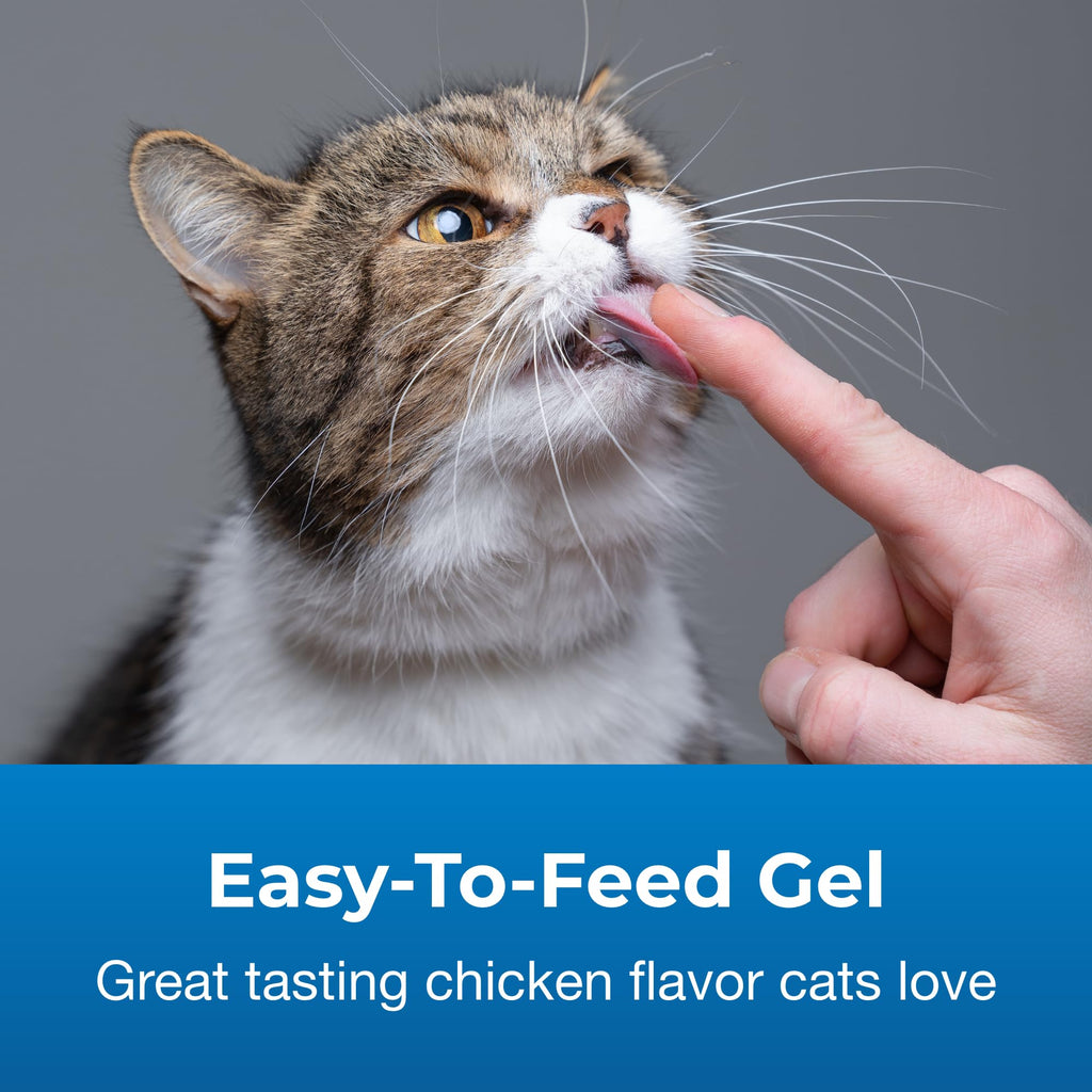 Hairball Solution Gel Supplement for Cats 3.5 oz O577324
