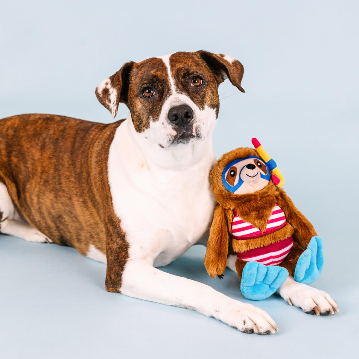 Plush Dog Toy P315