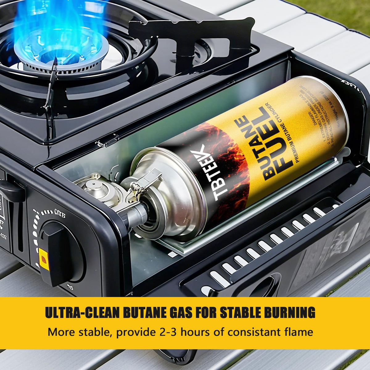 Butane Fuel Canister N39273