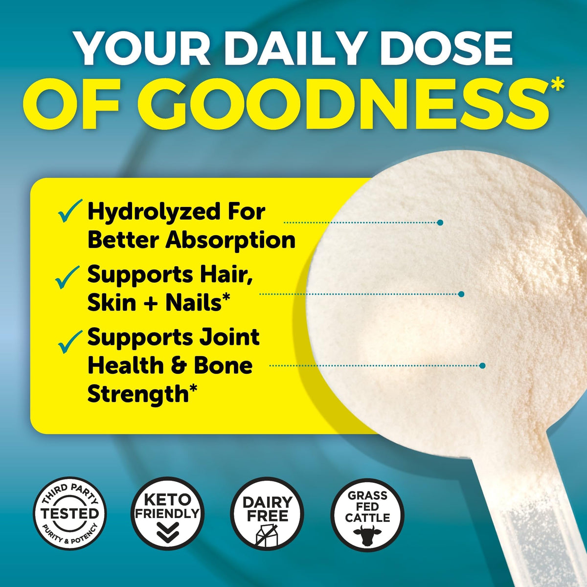 Collagen Peptides Powder - Grass-Fed Hydrolyzed Bovine, Type I & III - 19 g Protein, Unflavored - 1lb S957