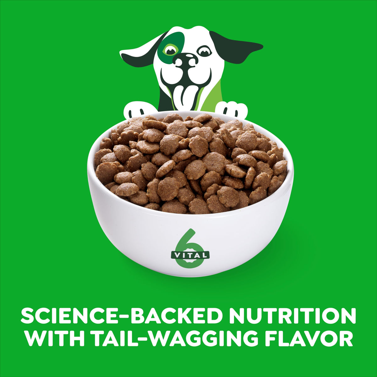 Chicken & Rice Dry Dog Food 15 lb U668